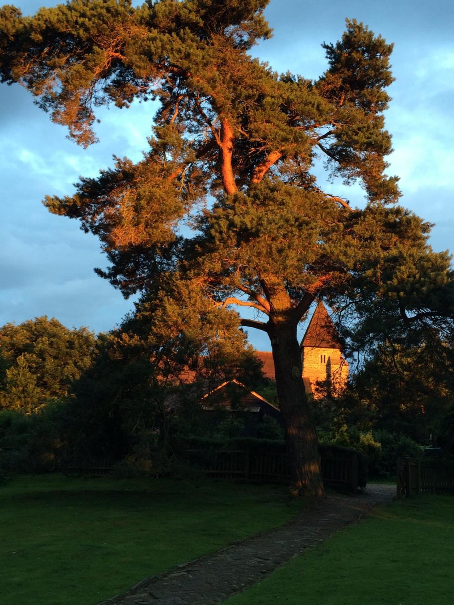 Holiday home Provender Beautiful Views And Intimate Comfort Guestling